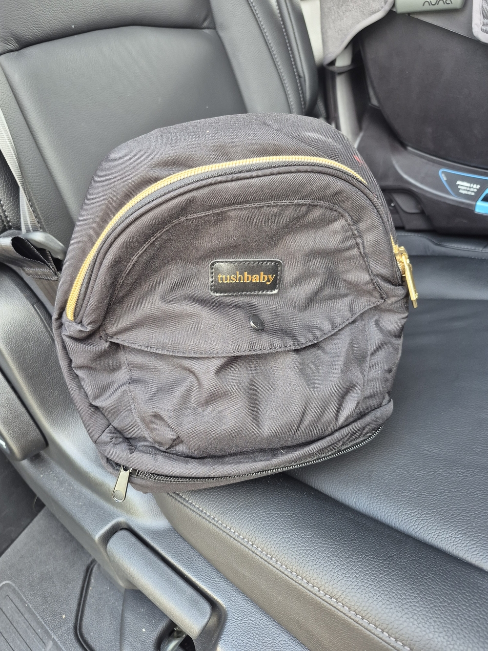 Tushbaby Black Compact Sling Bag